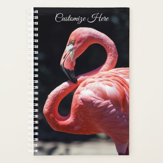 Personalisierter Flamingo Wochen/Monatsplaner Planer (Vorderseite)