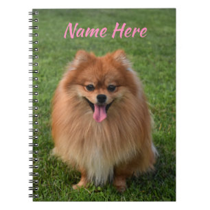Personalisierter Fluffy-Brawn-Spitz-Hund Notizblock