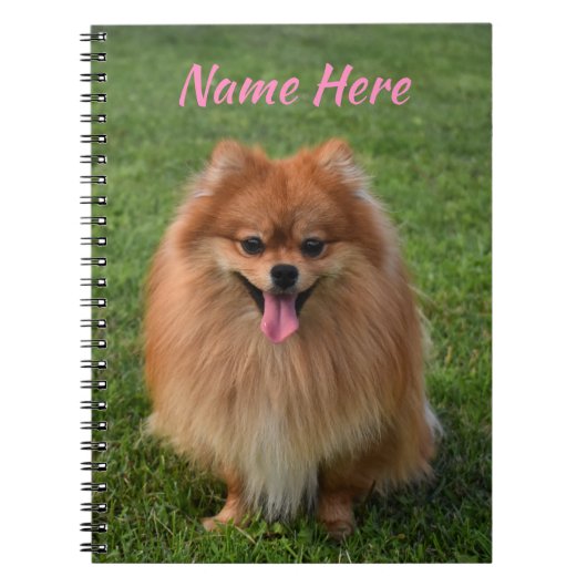 Personalisierter Fluffy Brown Spitz Dog Notizblock (Vorderseite)
