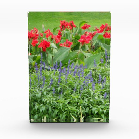 Personalisierter Foto (Vorderseite)