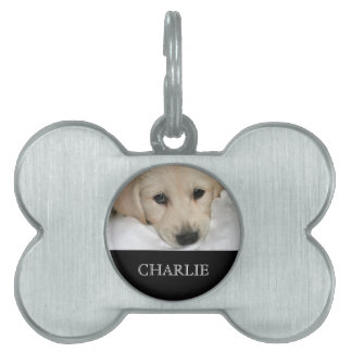 Personalisierter Foto- und Namens-Hundehalsband Tiermarke