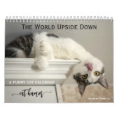 Personalisierter Funny Cat-Kalender Kalender (Titelbild)