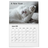 Personalisierter Funny Cat-Kalender Kalender (Jan 2026)