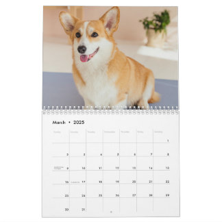 Personalisierter Funny Corgi Dog Foto-Kalender Kalender