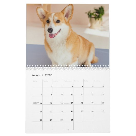 Personalisierter Funny Corgi Dog Foto-Kalender Kalender (Mär 2027)