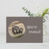 Personalisierter Geburtstag im Zoo Einladung (Stehend Vorderseite)