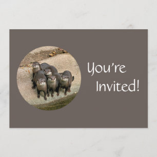 Personalisierter Geburtstag im Zoo Einladung