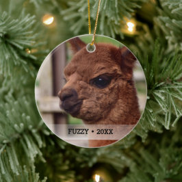 Personalisierter Haustier Alpaca Foto Name Weihnac Keramik Ornament