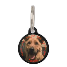 Personalisierter Haustier-Foto-Umbau