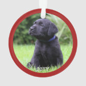 Personalisierter Haustier Hund Welpe Nickname Foto Ornament (Rückseite)