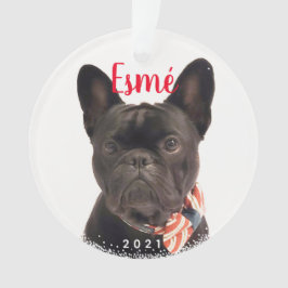 Personalisierter Haustier Hund Welpen Urlaub Foto  Ornament