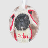 Personalisierter Haustier Hund Welpen Urlaub Foto Ornament (Vorderseite)