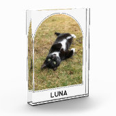 Personalisierter Haustiername Moderne Architektur Fotoblock (Links)