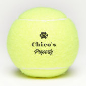 Personalisierter humorvoller Hundeball Tennisbälle (Vorderseite)