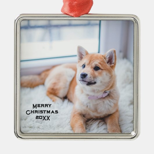 Personalisierter Hund Foto Metallschmuck Weihnacht Ornament Aus Metall (Vorne)