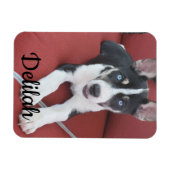 Personalisierter Hund | Foto von Haustieren Magnet (Horizontal)