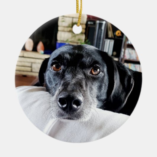 Personalisierter Hund Foto Weihnachten Keramik Ornament (Vorne)
