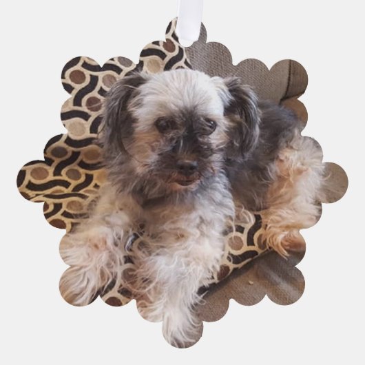 Personalisierter Hund Foto Weihnachten Ornament Karte (Vorderseite)