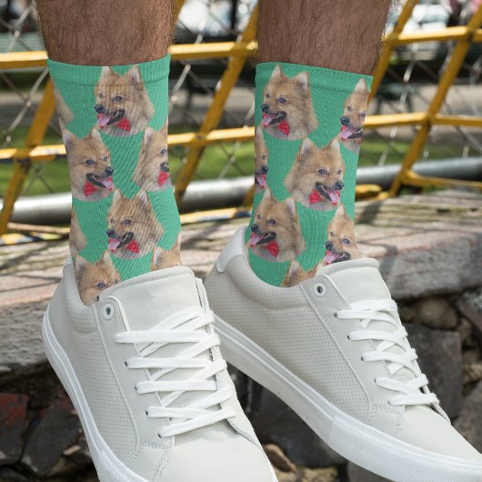 Personalisierter Hund gegenüber Foto Minze grün Ni Socken