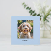 Personalisierter Hund Katze Foto Name Grüße Karte (Stehend Vorderseite)