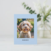 Personalisierter Hund Katzenbezeichnung Foto hellb Postkarte (Stehend Vorderseite)