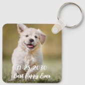 Personalisierter Hund Lover Keepake Modernes Haust Schlüsselanhänger (Rückseite)