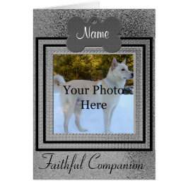 Personalisierter Hund- oder Katzenplan