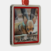 Personalisierter Hund Weihnachtsschmuck Metall-Fot (Rechts)