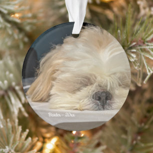 Personalisierter Hund Welpenverzierung Ornament