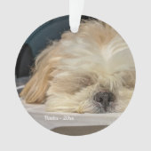 Personalisierter Hund Welpenverzierung Ornament (Vorderseite)