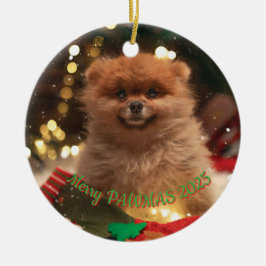 Personalisierter Hunde-Weihnachtsschmuck – Benutze Keramik Ornament