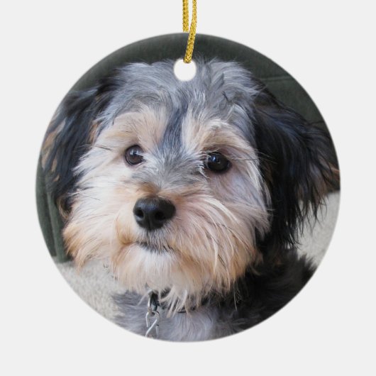 Personalisierter HundeFoto-Rahmen - DOPPELSEITIG Keramik Ornament (Vorne)
