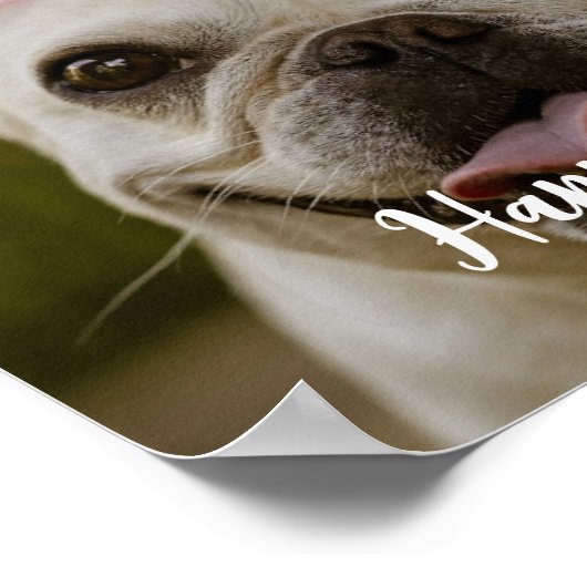Personalisierter Hundegeburt Poster (Ecke)