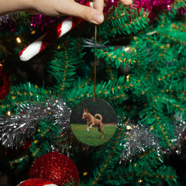 Personalisierter Hundekatzen-Gedenktag Keramik Ornament