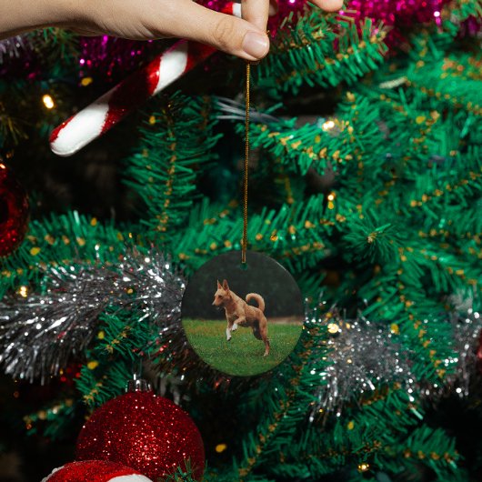 Personalisierter Hundekatzen-Gedenktag Keramik Ornament