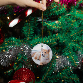 Personalisierter Hundekatzen-Gedenktag Keramik Ornament