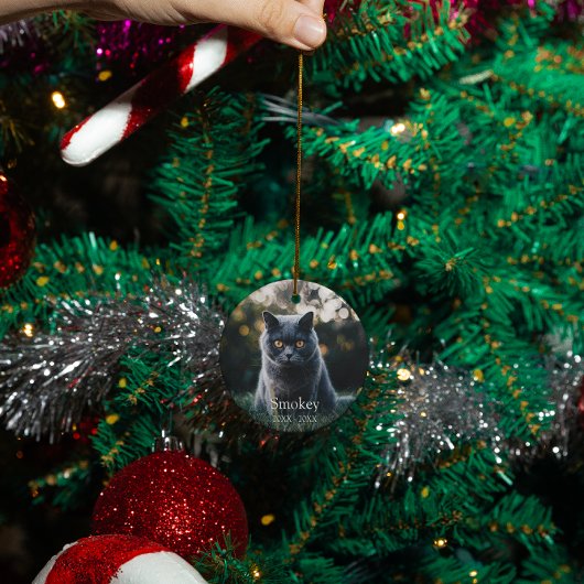 Personalisierter Hundekatzen-Gedenktag Keramik Ornament