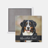 Personalisierter Hundemagnet mit Foto Magnet (Vorderseite/Rückseite)