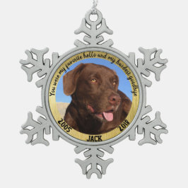 Personalisierter Hundeplan Mein Favorit Hallo Schneeflocken Zinn-Ornament