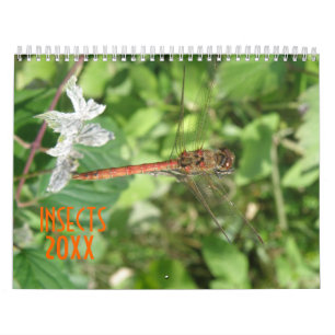 Personalisierter Insektenkalender Kalender