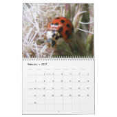 Personalisierter Insektenkalender Kalender (Feb 2027)