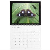 Personalisierter Kalender der Schmetterlinge (Mär 2027)