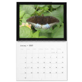 Personalisierter Kalender der Schmetterlinge (Jan 2027)