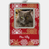 Personalisierter Katze Hund Roter Weihnachtsschnee Rahmen-Ornament Silber (Vorderseite)