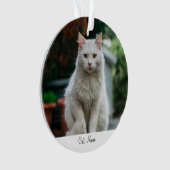 Personalisierter Katze Name Foto Ornament (Vorderseite)