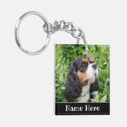 Personalisierter Kavalier König Charles Spaniel Hu Schlüsselanhänger (Vorderseite links)