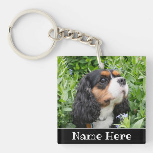Personalisierter Kavalier König Charles Spaniel Hu Schlüsselanhänger