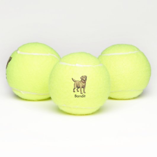 Personalisierter Labrador Retriever Dog Tennis Bal Tennisbälle (Multi)