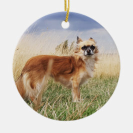 Personalisierter langhaariger Chihuahua Keramik Ornament