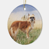 Personalisierter langhaariger Chihuahua Keramik Ornament (Links)